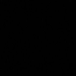 Meet your Posher, Aja